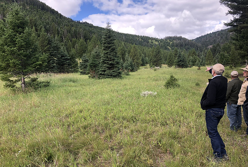 A Montana ranch crew examines the effects of timber encroachment on grazing and riparian areas.