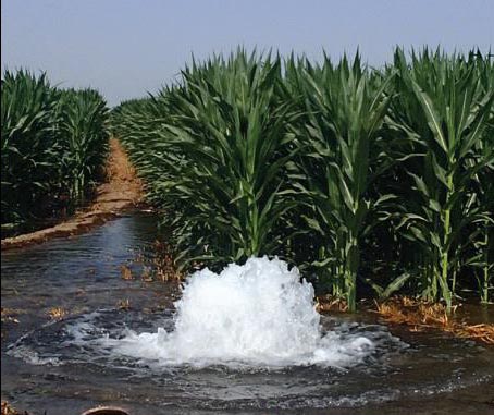 Irrigation water successfully watering farming crops.