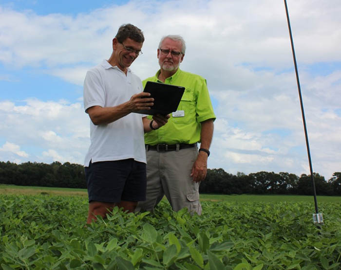 Two men standing in a crop field looking at a tablet.