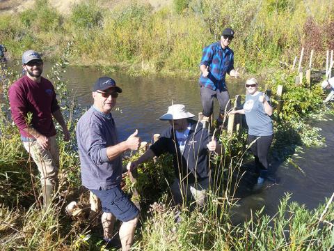TU Volunteers build a beaver dam analog structure in Utah